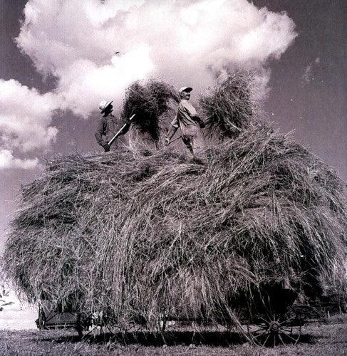 William Elliott Whitmore- Field Songs