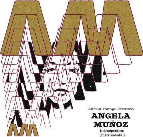 Angela Munoz- Introspection (Instrumentals)