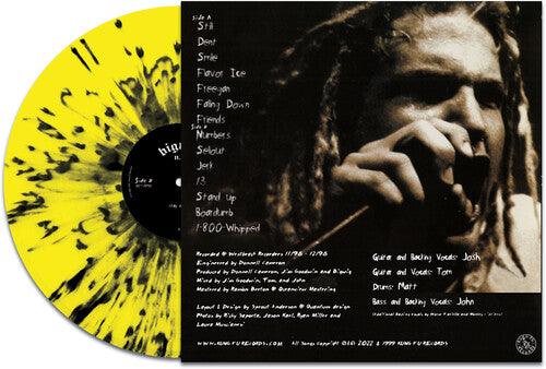 Bigwig- Stay Asleep - Yellow/black Splatter