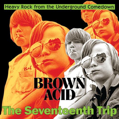 Various Artists- Brown Acid - The Seventeenth Trip (Various Artists)