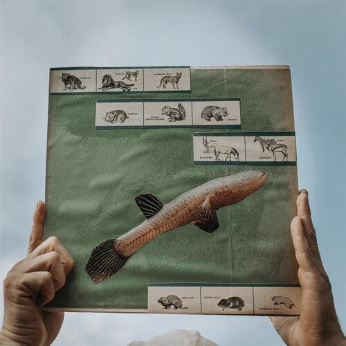 Cotton Jones- The River Strumming