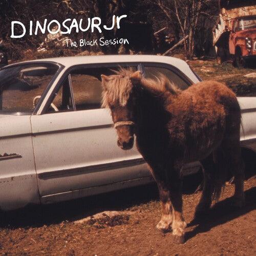 Dinosaur Jr.- The Black Session: Live In Paris 1993