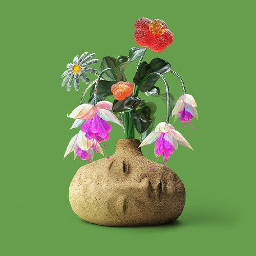 Elephant Gym- Dreams