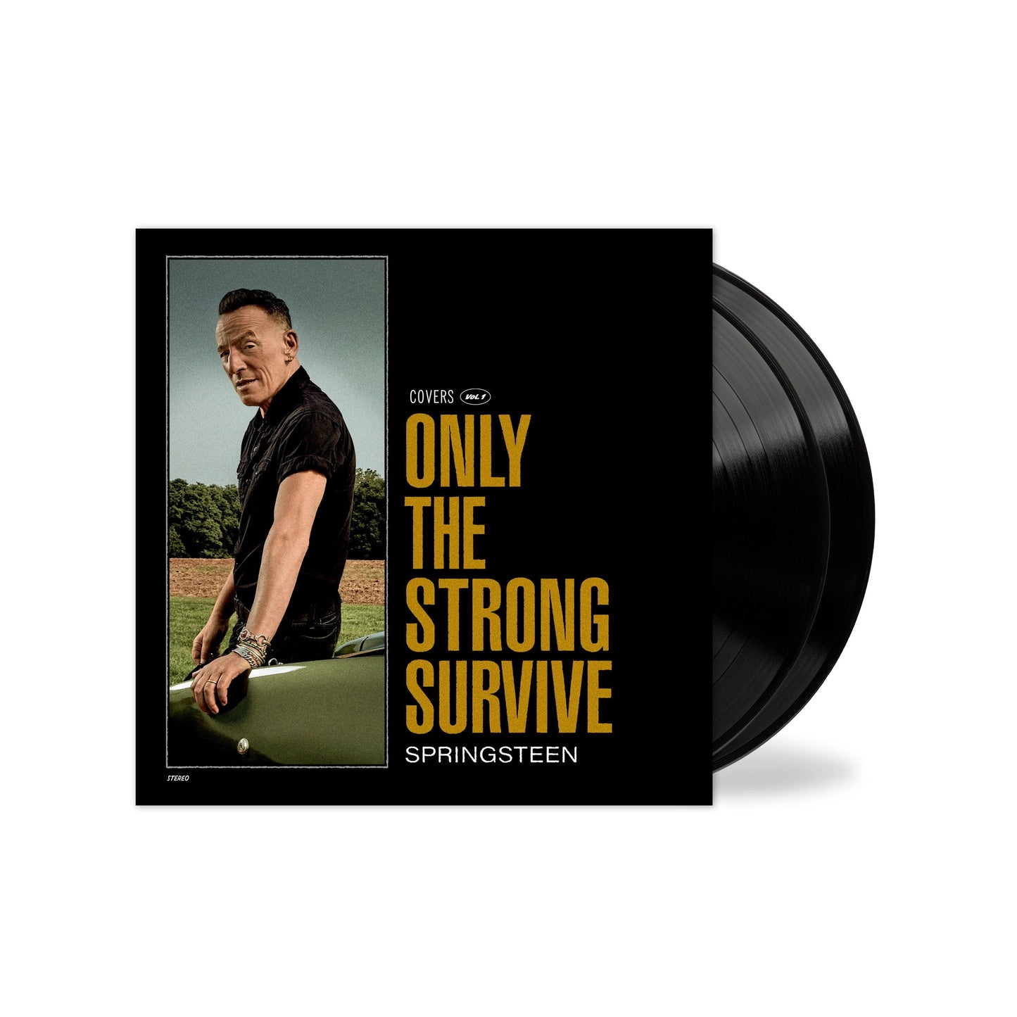 Bruce Springsteen- Only The Strong Survive