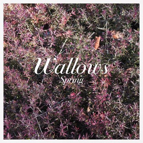 Wallows- Spring EP