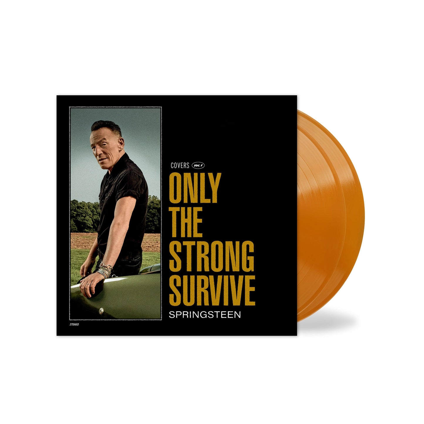 Bruce Springsteen- Only The Strong Survive (Indie Exclusive Orbit Orange Vinyl)