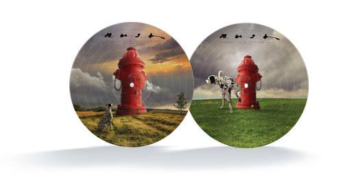 Rush- Signals: 40th Anniversary (Pic Disc)