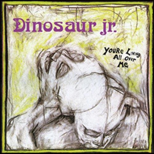 Dinosaur Jr.- You're Living All Over Me