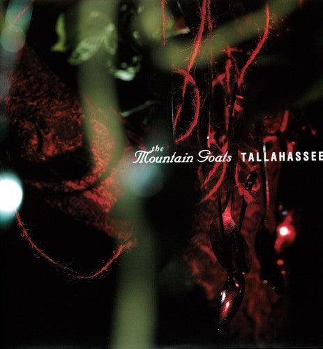 The Mountain Goats- Tallahassee