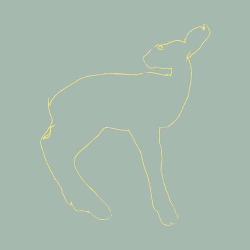 Songs: Ohia- Hecla and Griper [15th Anniversary Edition]