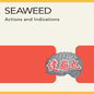 Seaweed- Actions and Indications
