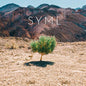 Syml- In My Body