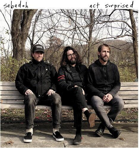 Sebadoh- Act Surprised