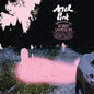 Ariel Pink- Dedicated To Bobby Jameson