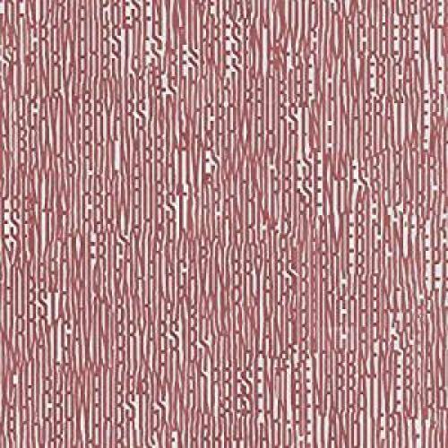 Crowhurst- Crowhurst and Gavin Bryars present Incoherent American Narrative