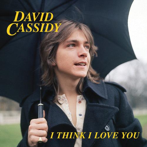 David Cassidy- I Think I Love You