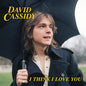 David Cassidy- I Think I Love You