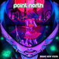 Point North- Brand New Vision (Purple & Pink Swirl)