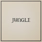 Jungle- Loving In Stereo
