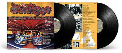 The Waterboys- Room To Roam (Half Speed Master)