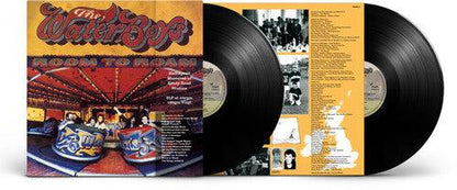 The Waterboys- Room To Roam (Half Speed Master)