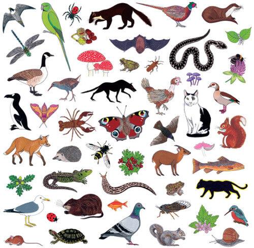 Modern Nature- Island Of Noise