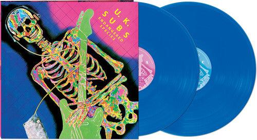 UK Subs- Endangered Species (translucent Blue)