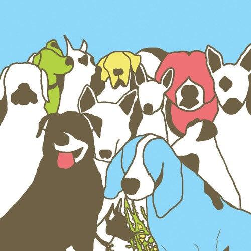 The Format- Dog Problems