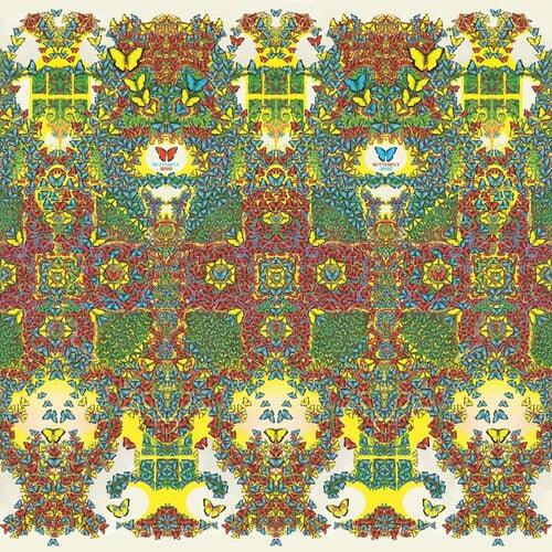 King Gizzard and the Lizard Wizard- Butterfly 3000 [Italian]