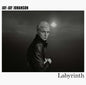 Jay-Jay Johanson- Labyrinth