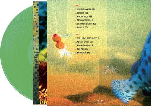 Steve Morse Band- Split Decision - Green