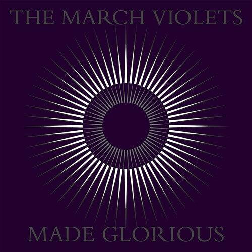March Violets- Made Glorious