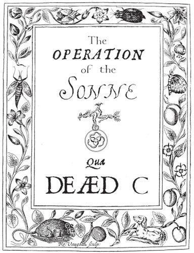 The Dead C- Operation Of The Sonne