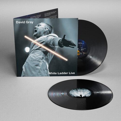 David Gray- White Ladder Live