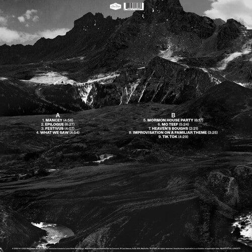 Andrew Bird- Outside Problems