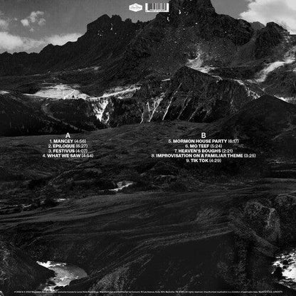 Andrew Bird- Outside Problems