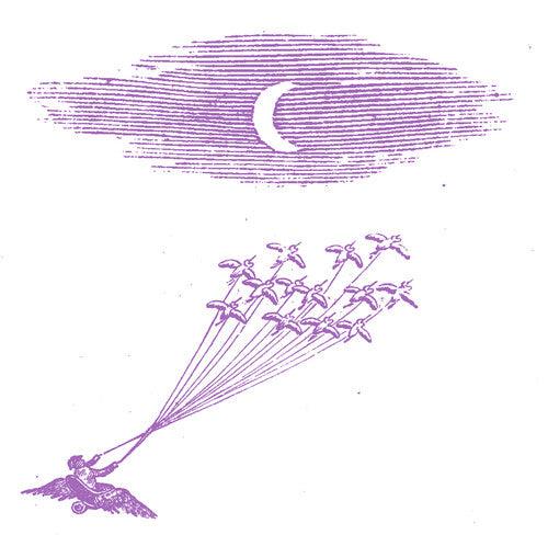 Feeling Figures- Migration Magic