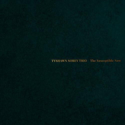 Tyshawn Sorey Trio- The Susceptible Now