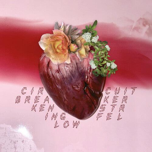 Ken Stringfellow- Circuit Breaker