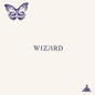 The Wizard- Wizard
