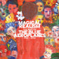 The Blue Aeroplanes- Magical Realism: The Best of the Blue Aeroplanes 1985-2025