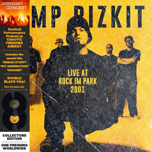 Limp Bizkit- Rock in the Park 2001