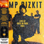Limp Bizkit- Rock in the Park 2001