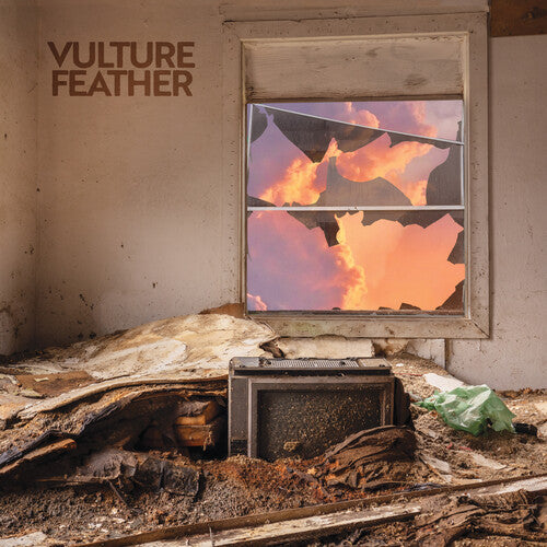 Vulture Feather- It Will Be Like Now