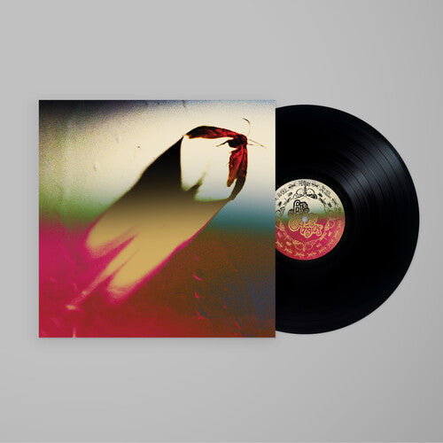 SCOWL- Are We All Angels