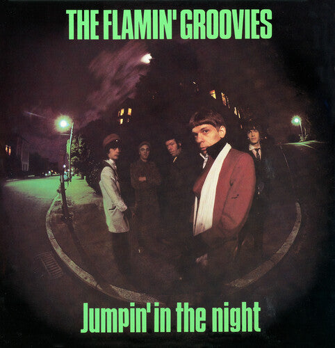Flamin' Groovies- Jumpin' In The Night