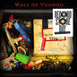 Wall of Voodoo- The Lost Tapes LIVE -RSD25