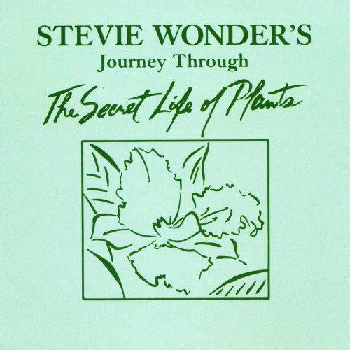 Stevie Wonder- Journey Through The Secret Life Of Plants