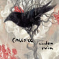 Calexico- Garden Ruin