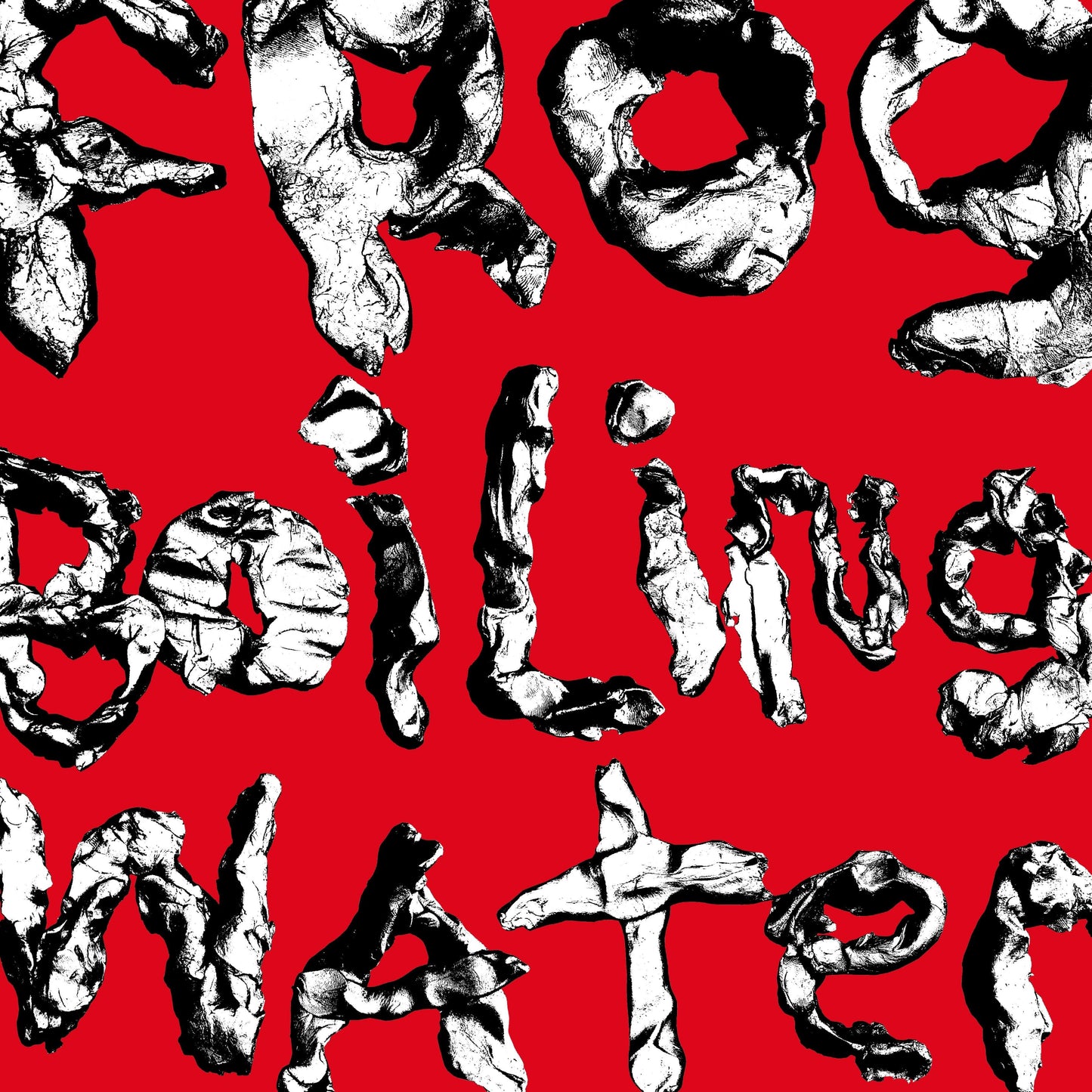 DIIV- Frog In Boiling Water (Black Vinyl)